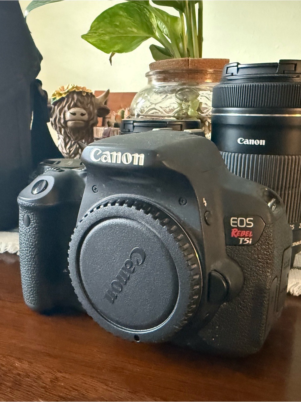 Canon EOS Rebel T5i DSLR Camera Body and lens